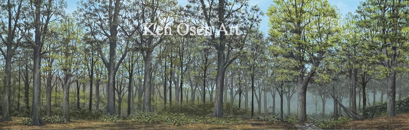 Old Growth American Forest Scenic Backdrop Version B