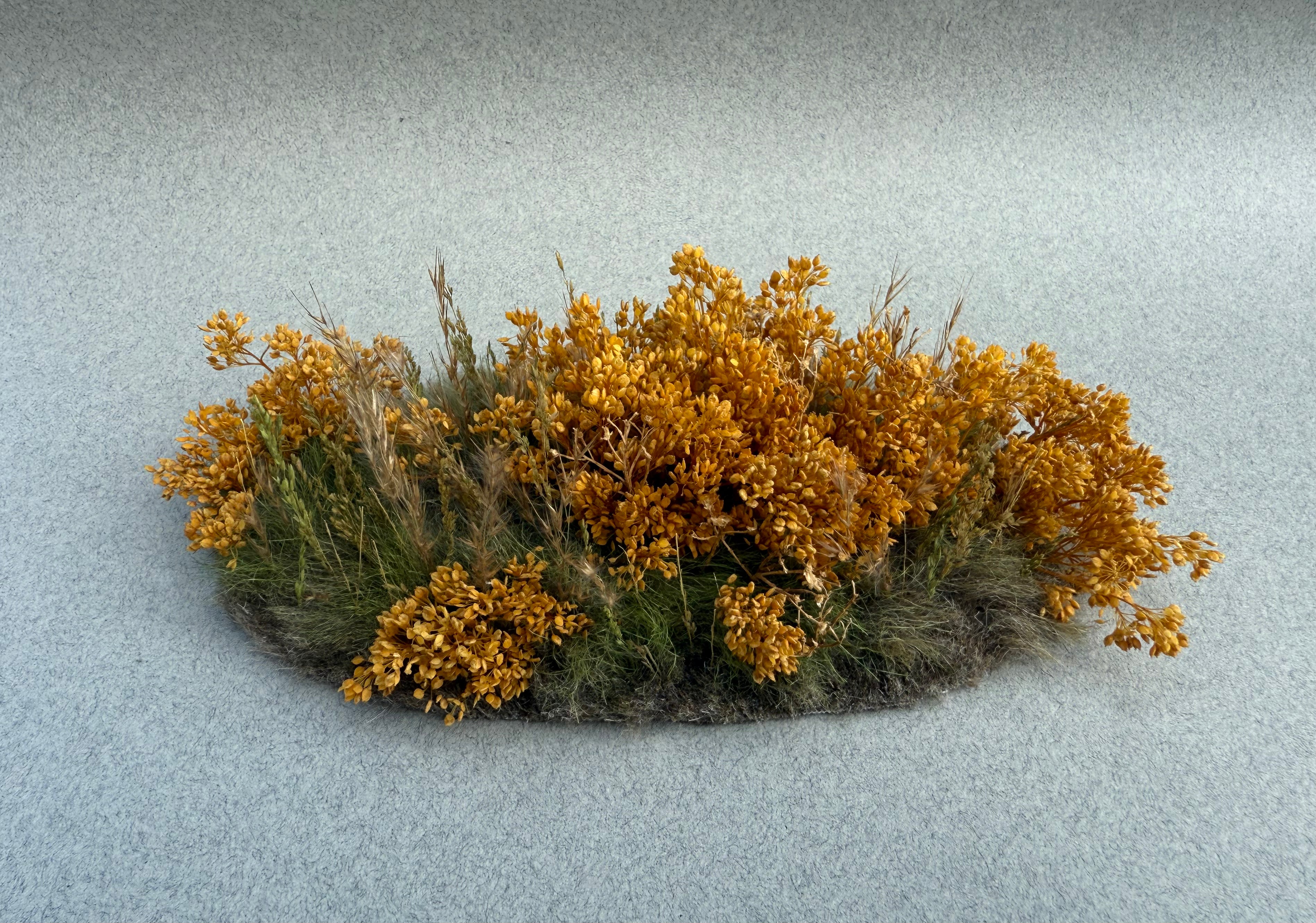 Fall Undergrowth Scenic Element