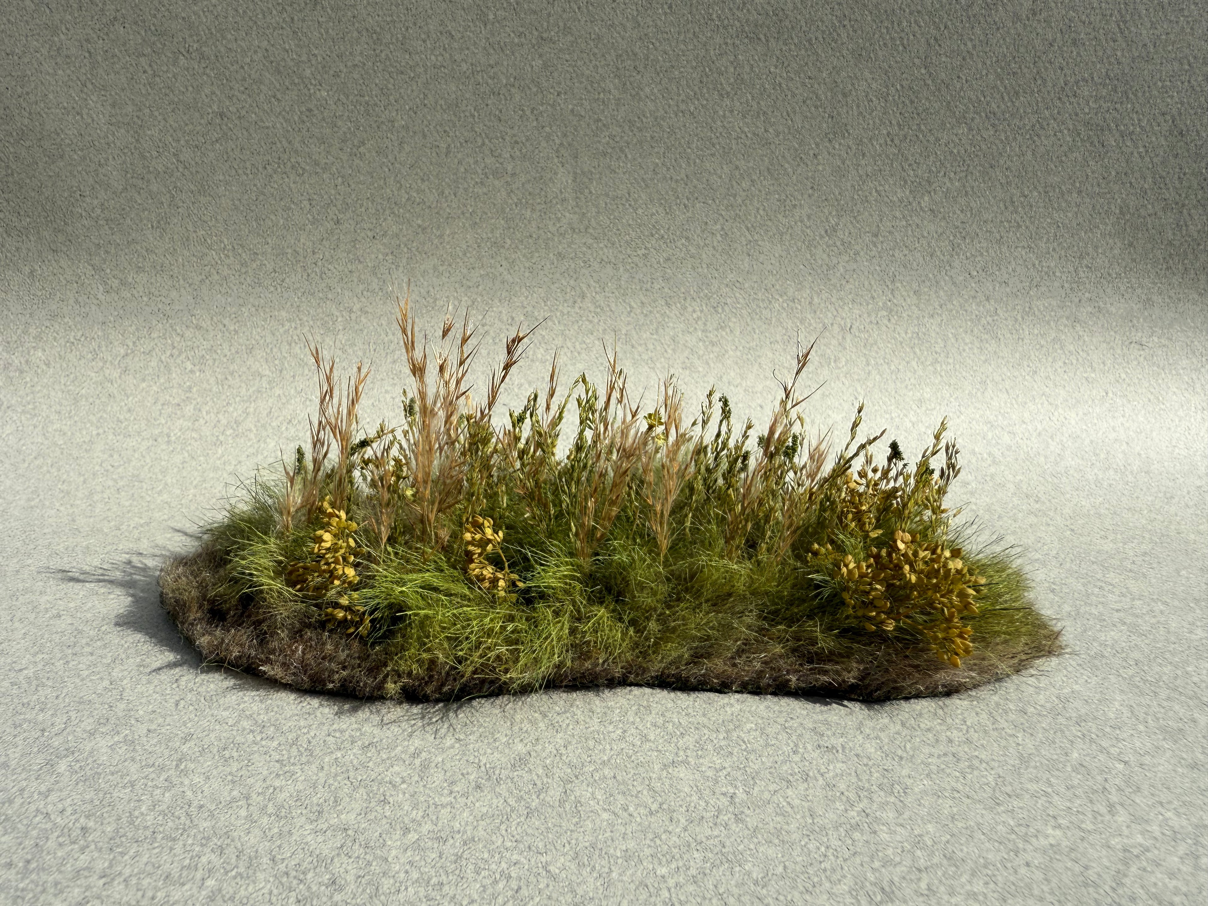 Tall Meadow Grasses Scenic Element