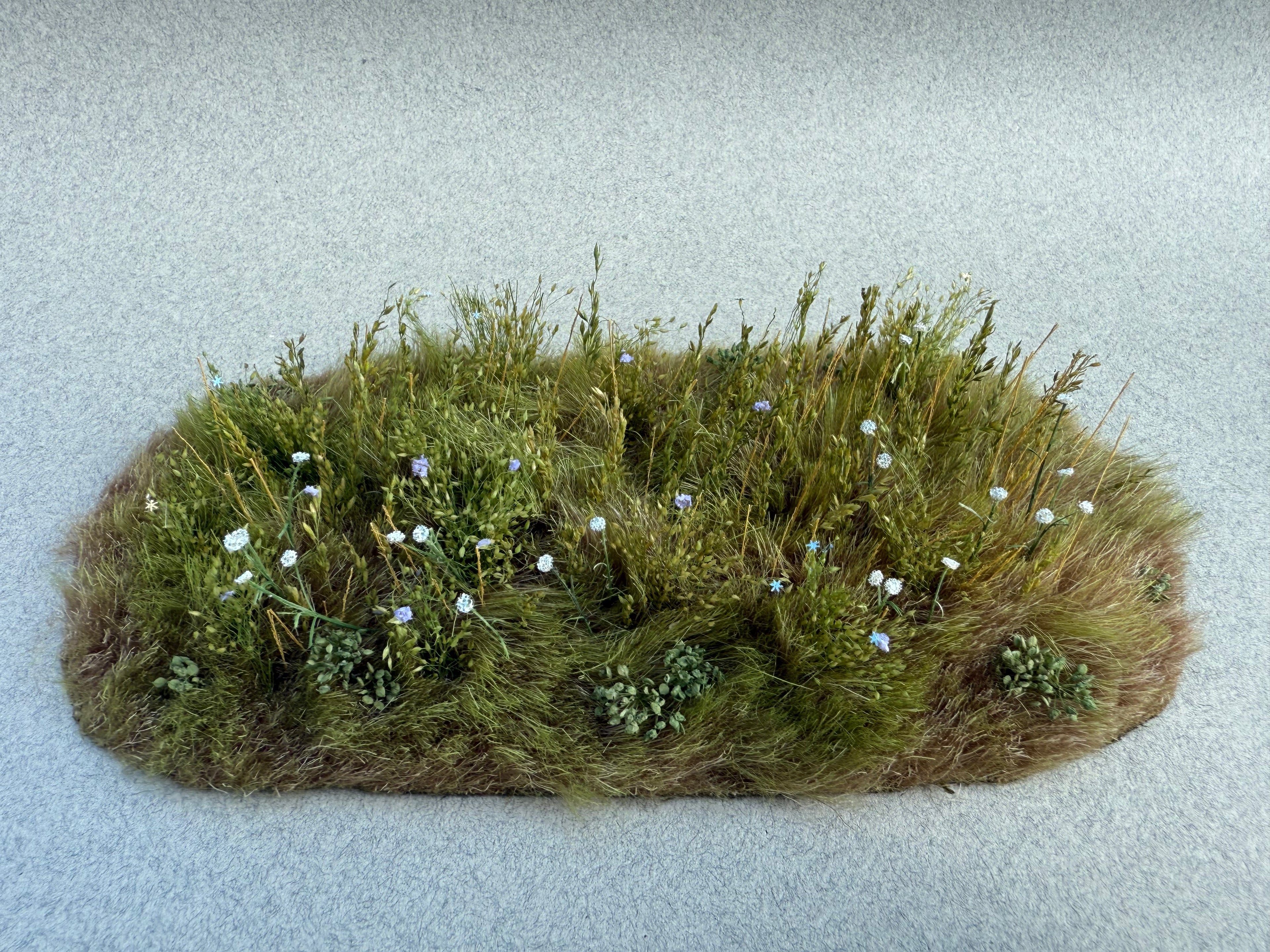 Wildflowers Scenic Element