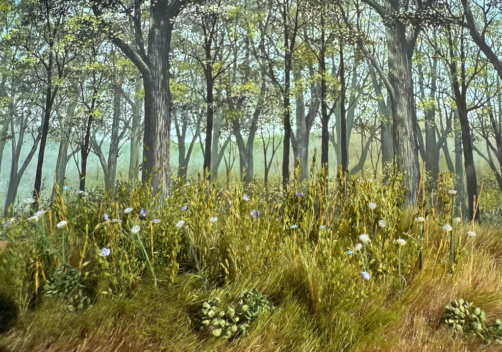 Wildflowers Scenic Element